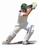 Image result for Free Online Pictures No Copyright Cricket