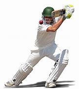 Image result for Cricket Transparent