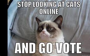 Image result for Voting Memes