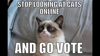 Image result for Funny Election Day Memes