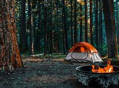 Image result for Shenandoah National Park Virginia Camping
