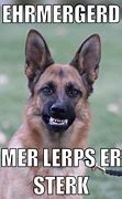 Image result for German Shepherd Pest Memes