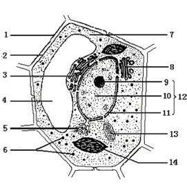 Image result for Alien Spacecraft 2D Models for 3D Modelling