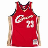 Image result for LeBron James Cleveland Cavs Jersey