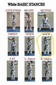 Image result for Kung Fu Basics