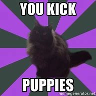 Image result for Medic Cats Meme