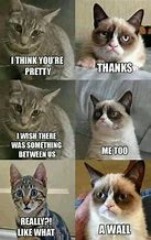 Image result for Way to Go Cat Meme