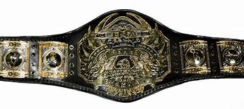 Image result for TNA World Champion
