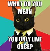 Image result for Best Business Cat Meme