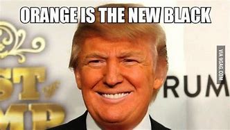 Image result for Donald Trump Memes of 2016