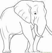 Image result for What Is the World's Biggest Animal