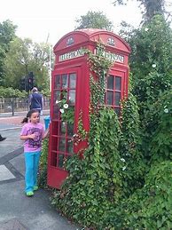 Image result for Green Phone Box