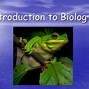 Image result for Difference Between Growth and Development in Biology