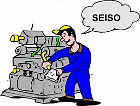 Image result for Seiso 5S