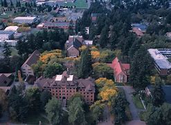 Image result for Pacific Lutheran University