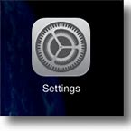 Image result for Settings iPad App Store