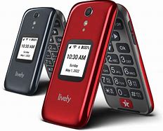 Image result for Lively Flip Phones for Seniors