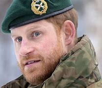 Image result for Prince Harry of Wales Vegas