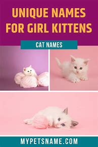 Image result for Baby Girl Cat Names