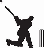 Image result for Cartoon Cricketer