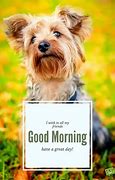 Image result for Good Morning Memes Cute