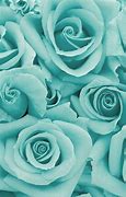 Image result for iPhone 4 Diamond Rose