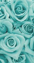 Image result for Cute PC Wallpaper Rose Gold