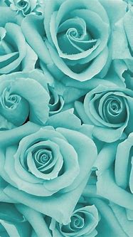 Image result for Rosa Aesthetic