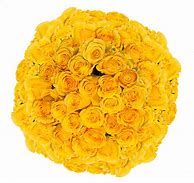 Image result for Light Yellow Flowers