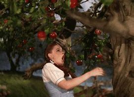 Image result for Funny Apple Tree