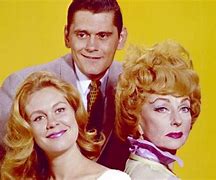Image result for 60s TV Shows