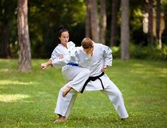 Image result for list of asian martial arts
