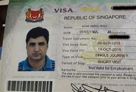 Image result for Singapore Visitor Visa