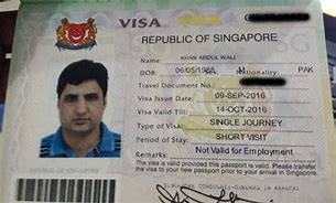 Image result for Singapore Visa Page