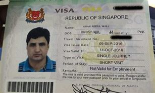 Image result for Singapore Tourist Visa