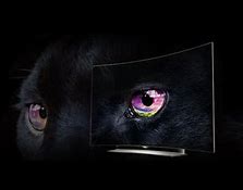 Image result for OLED Screen Black and White