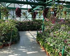 Image result for Glass House in Ooty