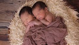 Image result for Twins That Are Not Identical
