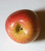 Image result for Cooking Apples