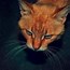 Image result for Persian Cat Room Guardian Meme Silhouette