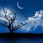 Image result for Night Backdrop