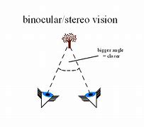 Image result for Binocular Stereo Vision
