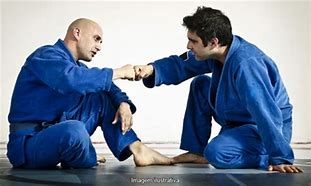 Image result for ZR Brazilian Jiu Jitsu