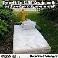Image result for Queens New York Memes