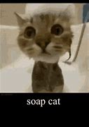 Image result for Whats App Soap Meme