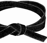 Image result for Black Belt Clips