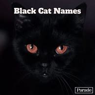 Image result for Black Cat Names