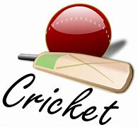 Image result for Solar Powered Cricket Chirper