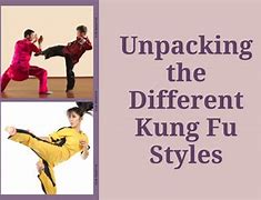Image result for American Style Kung Fu