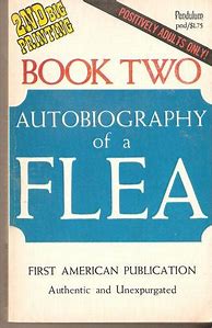 Image result for 1993 the Year of the Flea Book